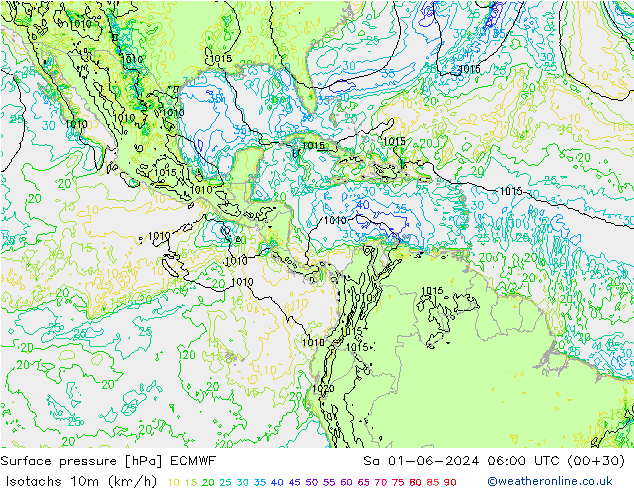 Izotacha (km/godz) ECMWF so. 01.06.2024 06 UTC