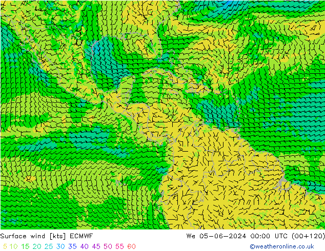 Wind 10 m ECMWF wo 05.06.2024 00 UTC