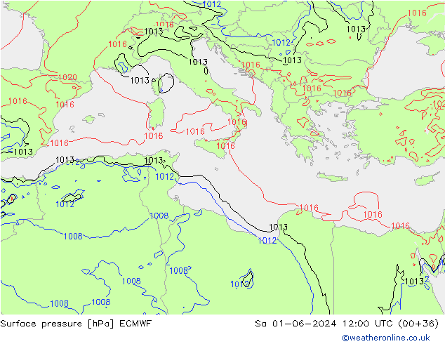      ECMWF  01.06.2024 12 UTC