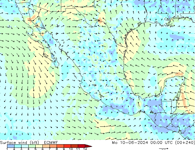 Surface wind (bft) ECMWF Po 10.06.2024 00 UTC