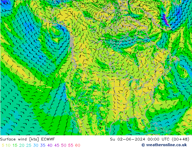 Bodenwind ECMWF So 02.06.2024 00 UTC