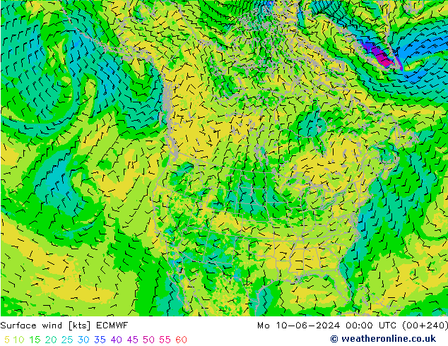 Vento 10 m ECMWF lun 10.06.2024 00 UTC