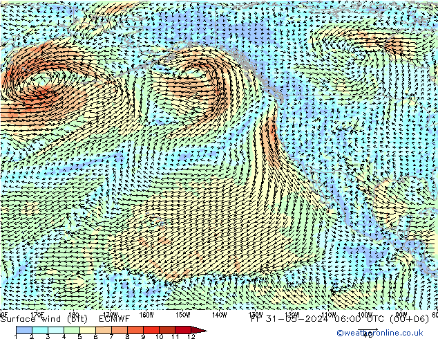  10 m (bft) ECMWF  31.05.2024 06 UTC