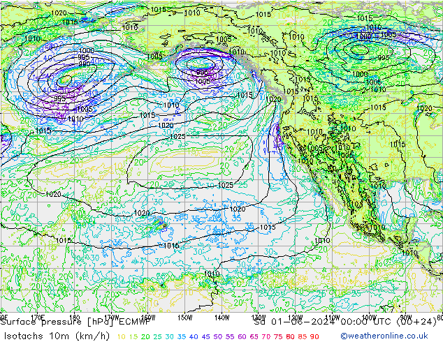 Isotachs (kph) ECMWF  01.06.2024 00 UTC