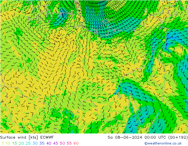 Surface wind ECMWF Sa 08.06.2024 00 UTC