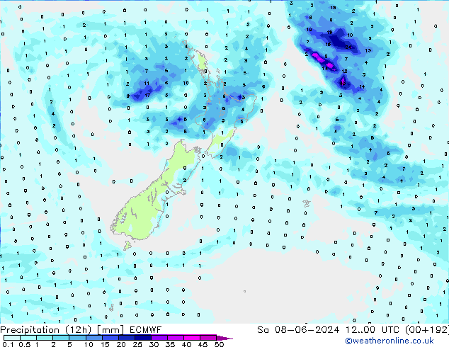 Precipitation (12h) ECMWF So 08.06.2024 00 UTC