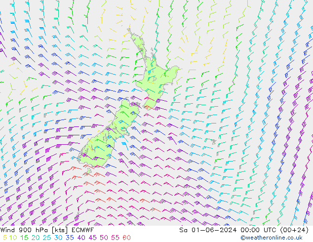 Wind 900 hPa ECMWF Sa 01.06.2024 00 UTC