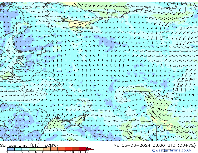 Surface wind (bft) ECMWF Mo 03.06.2024 00 UTC