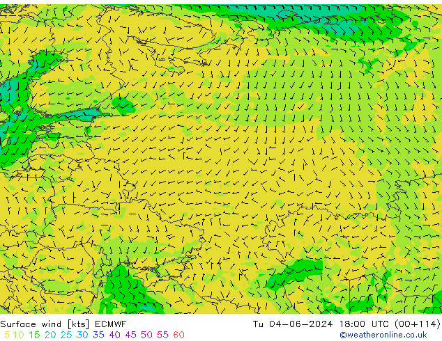 Surface wind ECMWF Tu 04.06.2024 18 UTC