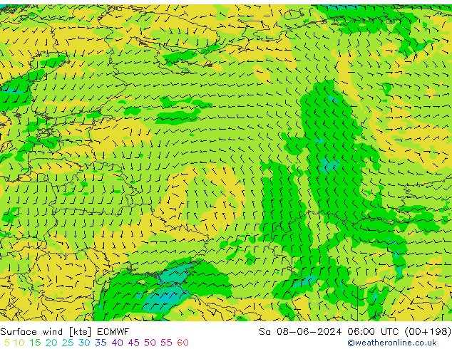 wiatr 10 m ECMWF so. 08.06.2024 06 UTC