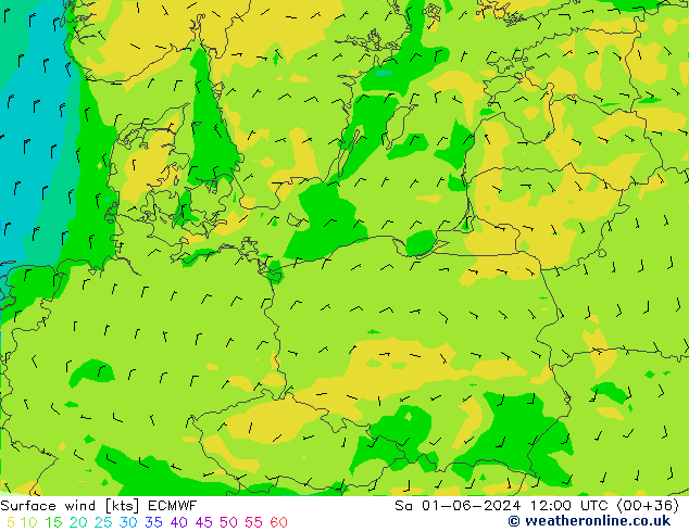 Wind 10 m ECMWF za 01.06.2024 12 UTC