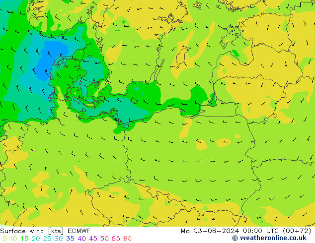 Vento 10 m ECMWF lun 03.06.2024 00 UTC