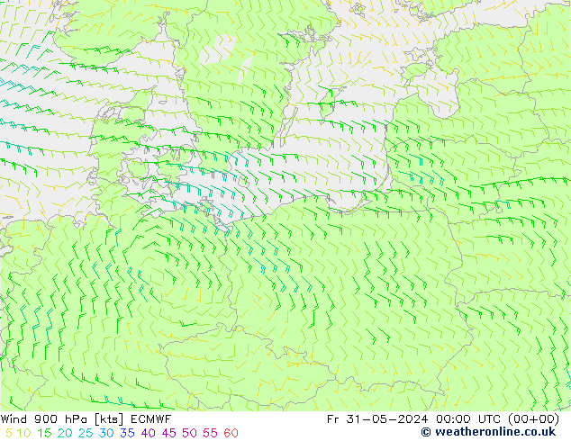 Rüzgar 900 hPa ECMWF Cu 31.05.2024 00 UTC