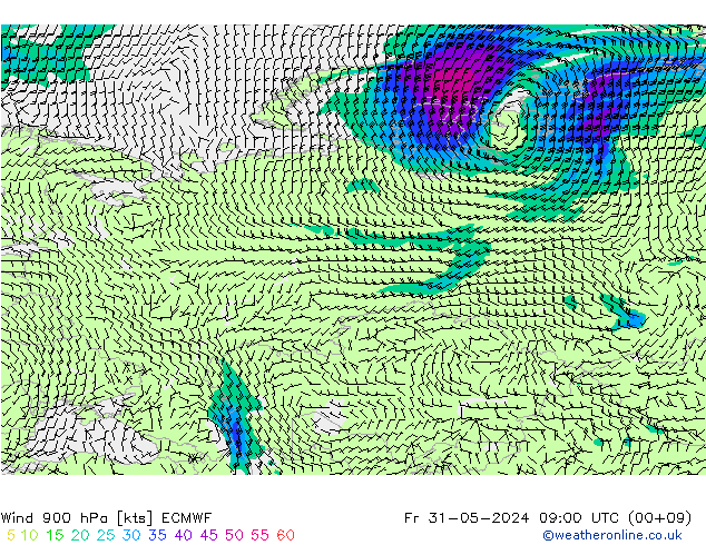  900 hPa ECMWF  31.05.2024 09 UTC