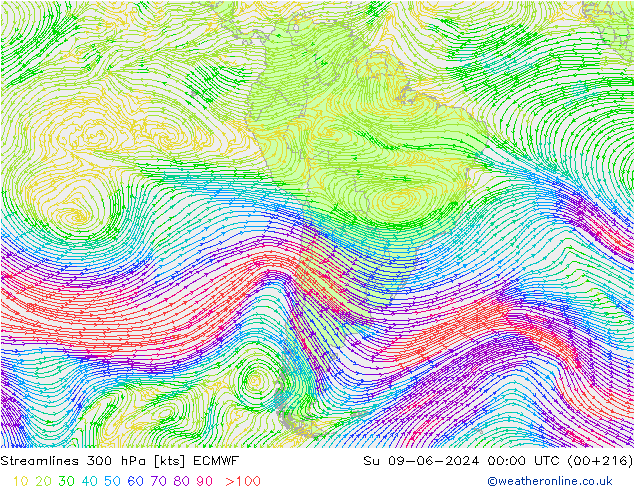 Rüzgar 300 hPa ECMWF Paz 09.06.2024 00 UTC