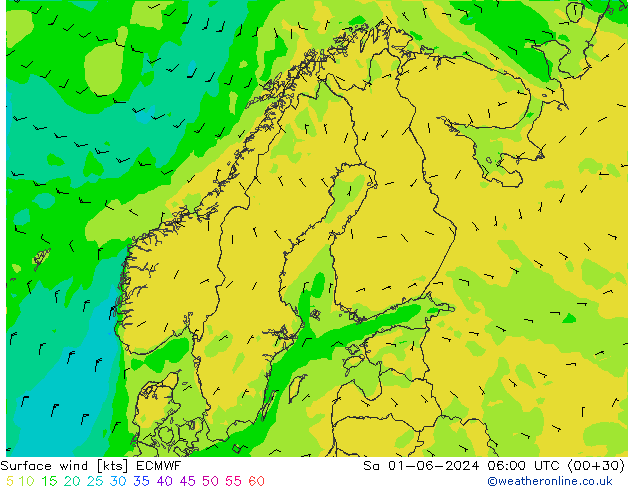 Surface wind ECMWF So 01.06.2024 06 UTC