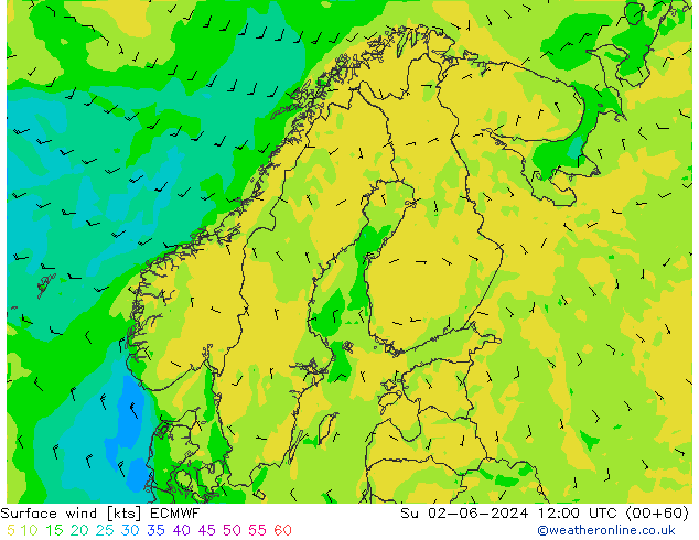 Surface wind ECMWF Su 02.06.2024 12 UTC
