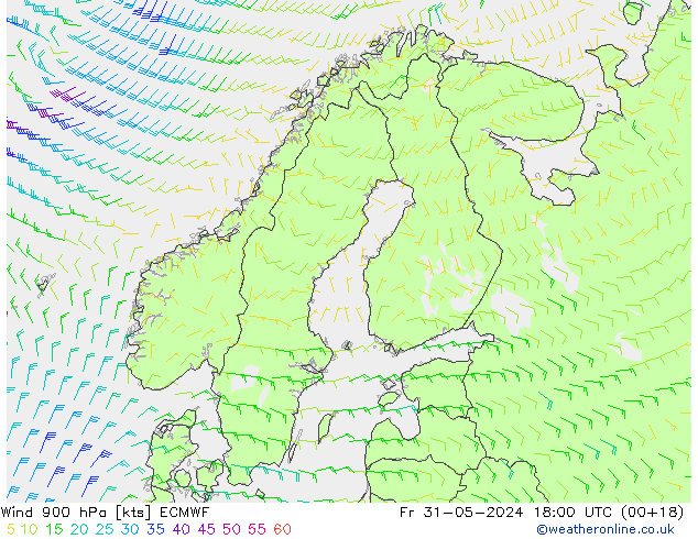  900 hPa ECMWF  31.05.2024 18 UTC