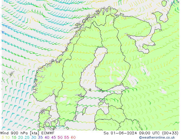 Wind 900 hPa ECMWF Sa 01.06.2024 09 UTC