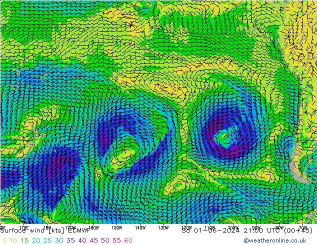 ветер 10 m ECMWF сб 01.06.2024 21 UTC