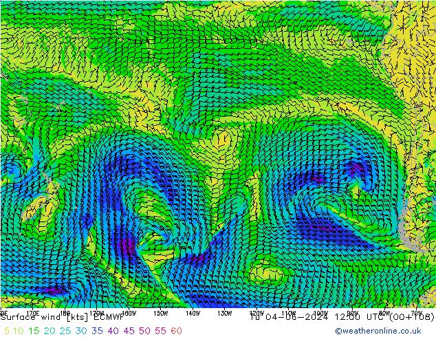  10 m ECMWF  04.06.2024 12 UTC