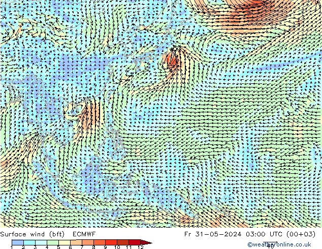 Surface wind (bft) ECMWF Fr 31.05.2024 03 UTC