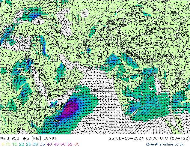 Rüzgar 950 hPa ECMWF Cts 08.06.2024 00 UTC