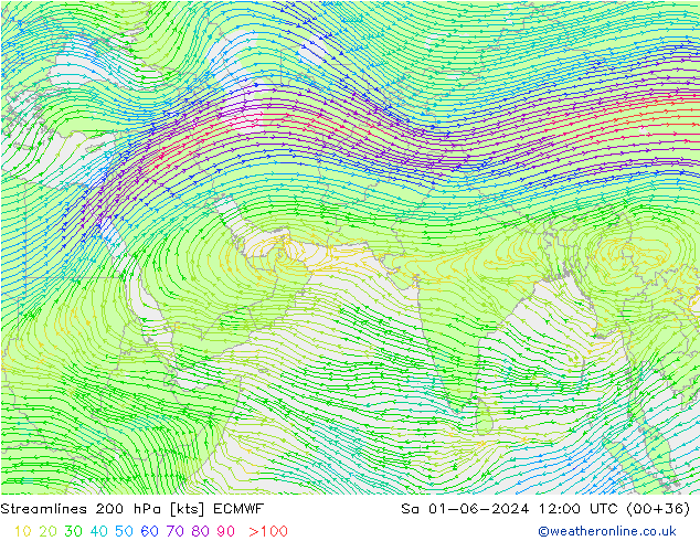 ветер 200 гПа ECMWF сб 01.06.2024 12 UTC