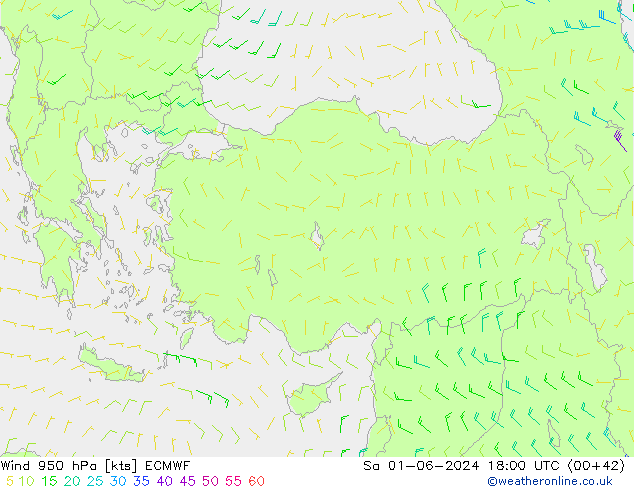 Wind 950 hPa ECMWF za 01.06.2024 18 UTC