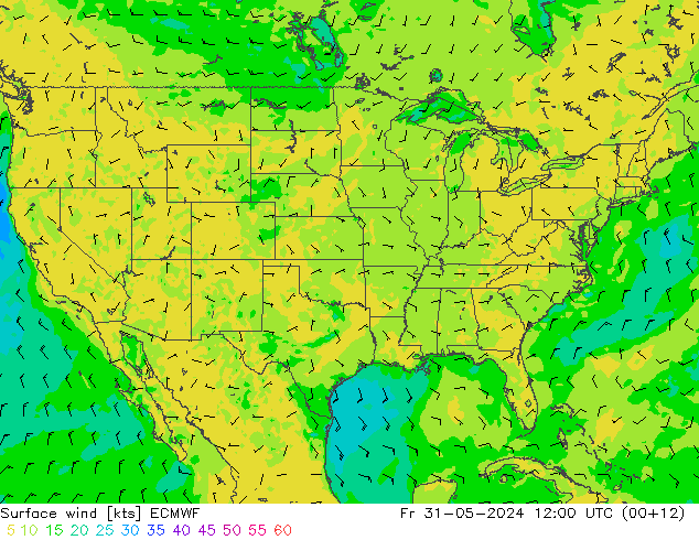 Bodenwind ECMWF Fr 31.05.2024 12 UTC