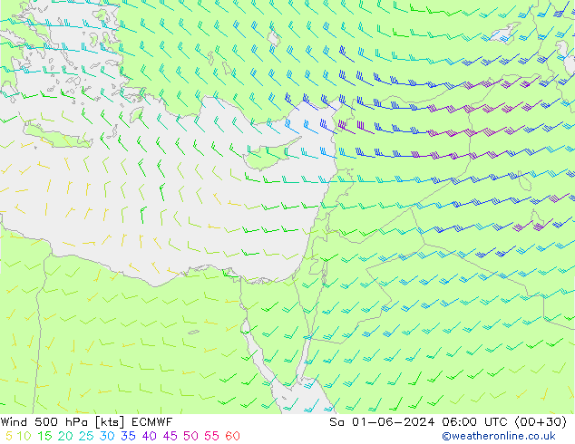 Wind 500 hPa ECMWF Sa 01.06.2024 06 UTC