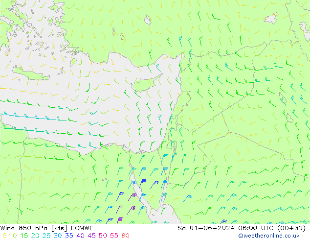 wiatr 850 hPa ECMWF so. 01.06.2024 06 UTC