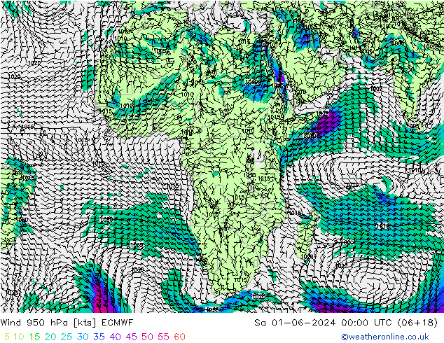 Vento 950 hPa ECMWF sab 01.06.2024 00 UTC