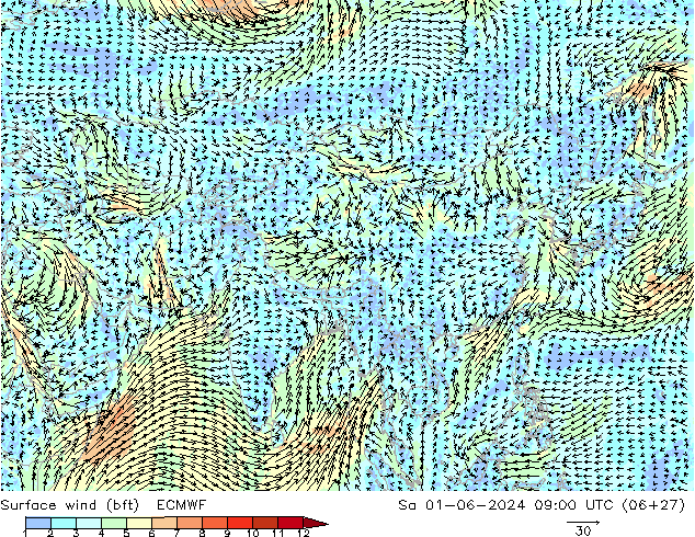 Bodenwind (bft) ECMWF Sa 01.06.2024 09 UTC