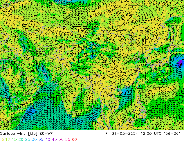 Prec 6h/Wind 10m/950 ECMWF Fr 31.05.2024 12 UTC