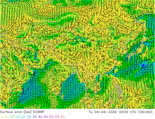 Vento 10 m ECMWF Ter 04.06.2024 00 UTC