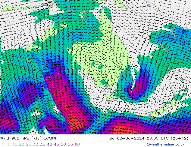 Wind 900 hPa ECMWF Su 02.06.2024 00 UTC