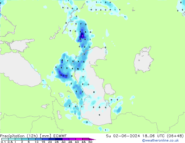 Precipitation (12h) ECMWF Su 02.06.2024 06 UTC