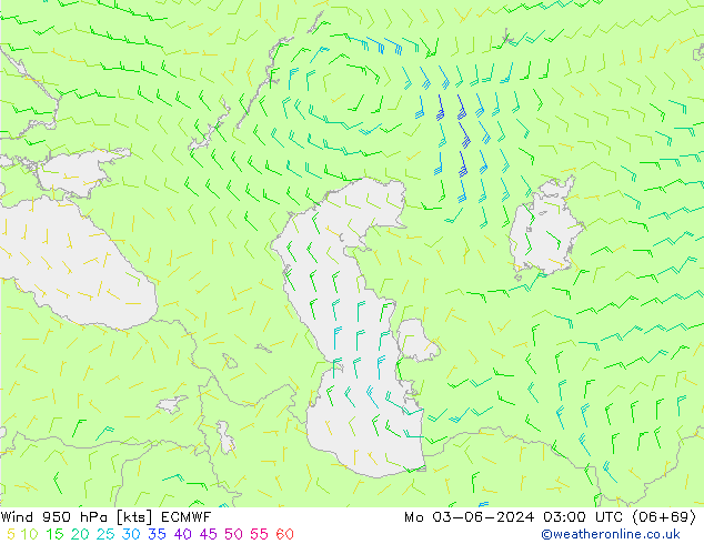 Wind 950 hPa ECMWF Mo 03.06.2024 03 UTC