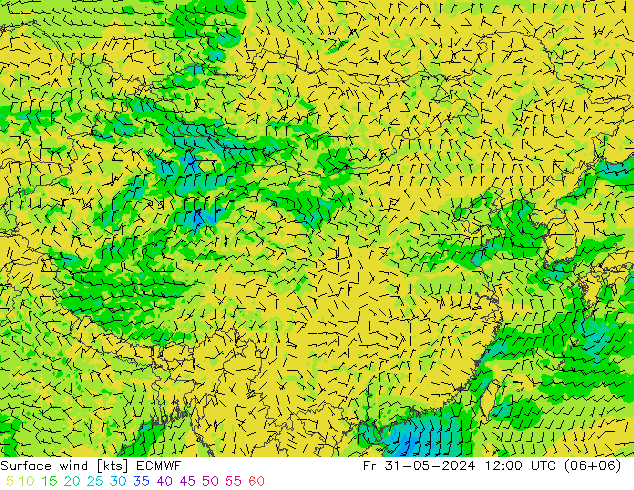  10 m ECMWF  31.05.2024 12 UTC