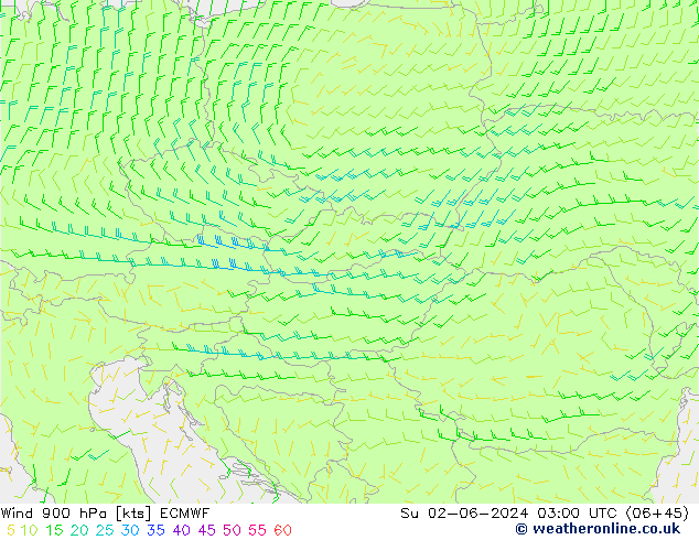 wiatr 900 hPa ECMWF nie. 02.06.2024 03 UTC