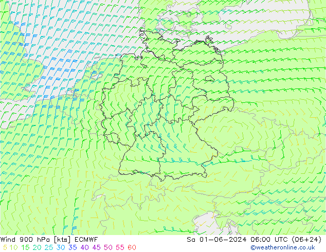  900 hPa ECMWF  01.06.2024 06 UTC