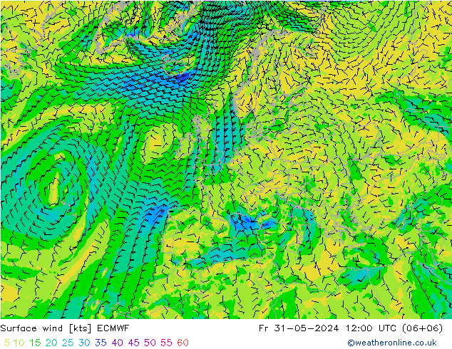 ветер 10 m ECMWF пт 31.05.2024 12 UTC