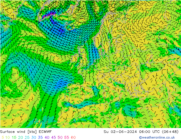 ветер 10 m ECMWF Вс 02.06.2024 06 UTC