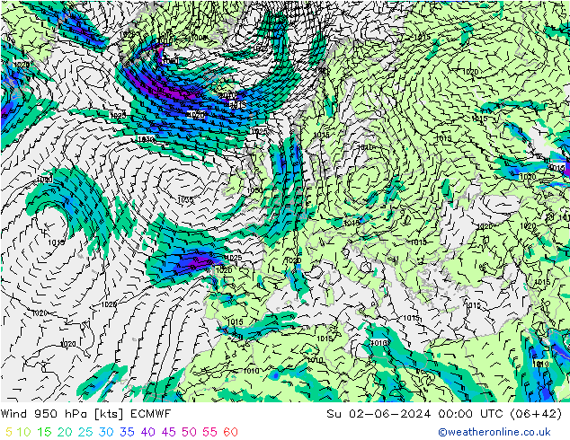 ветер 950 гПа ECMWF Вс 02.06.2024 00 UTC