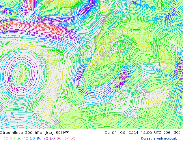 Streamlines 300 hPa ECMWF Sa 01.06.2024 12 UTC