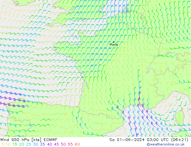 Rüzgar 950 hPa ECMWF Cts 01.06.2024 03 UTC