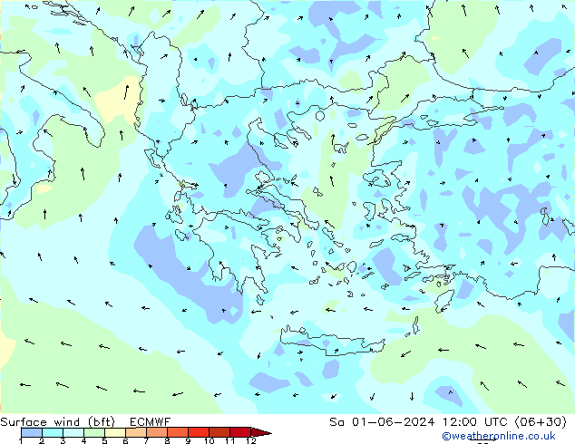 Vent 10 m (bft) ECMWF sam 01.06.2024 12 UTC