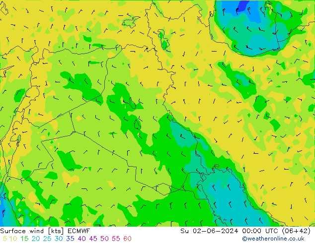 Surface wind ECMWF Su 02.06.2024 00 UTC