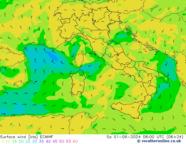 Surface wind ECMWF So 01.06.2024 06 UTC